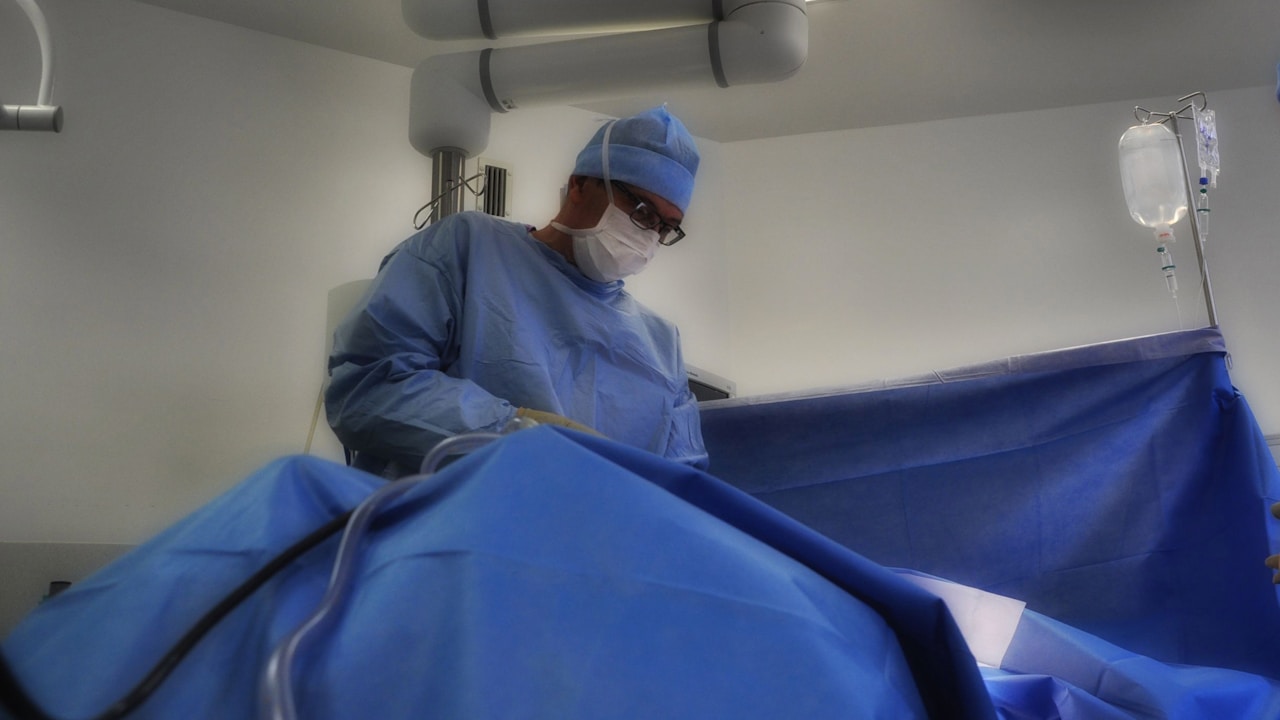 Cutting-edge Surgery Could Fix a 12-year-old's Scoliosis, but Insurance Denies Coverage