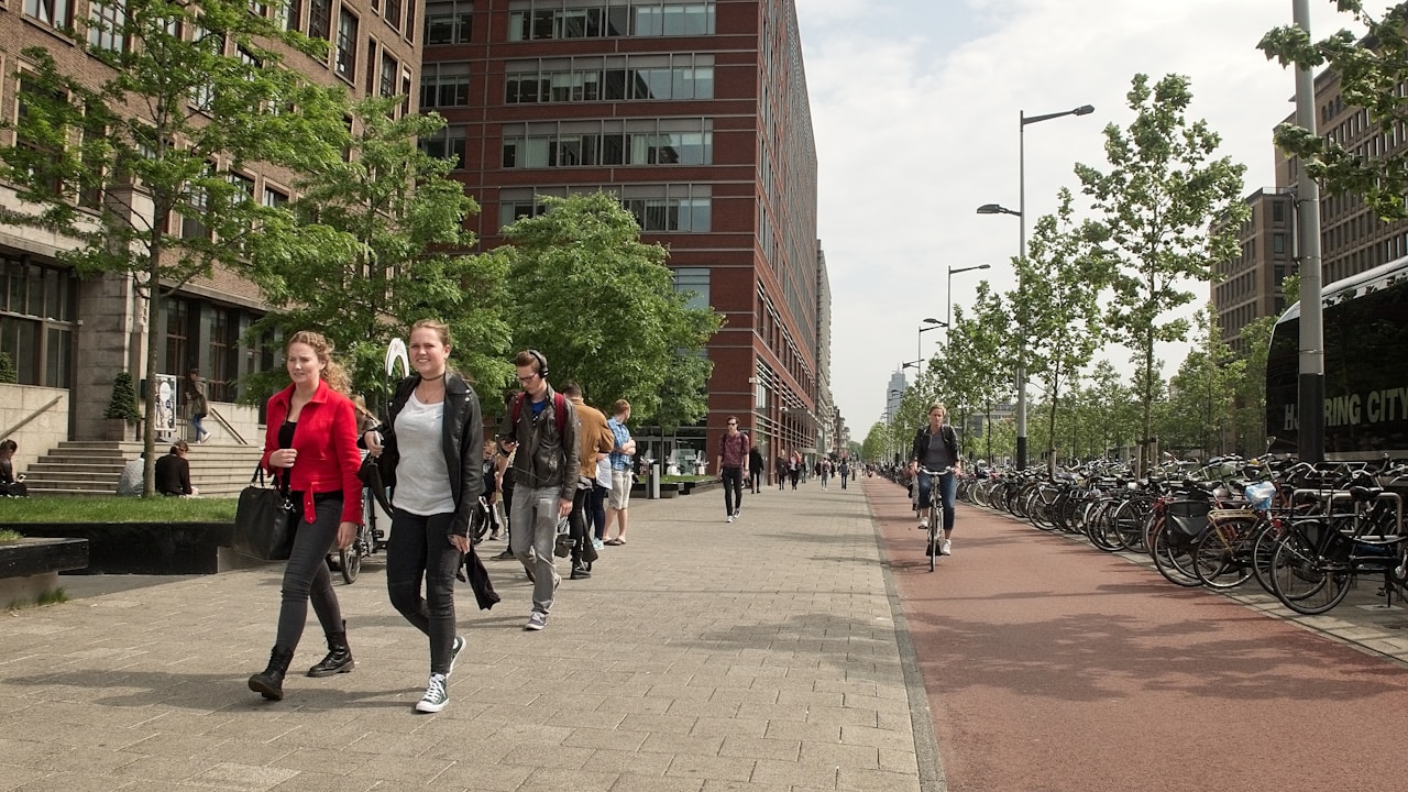 The Role of Neighborhood Design in Promoting Walking