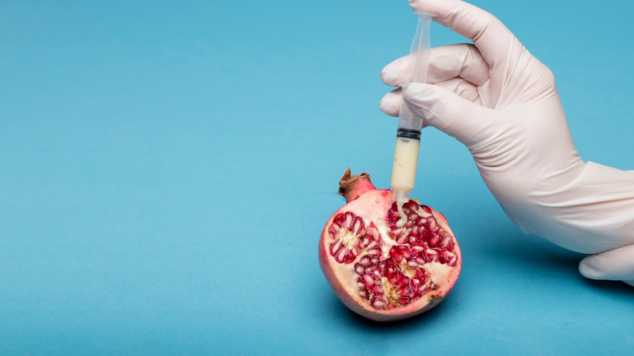 Understanding the Role of Diet in Managing Chronic Kidney Disease