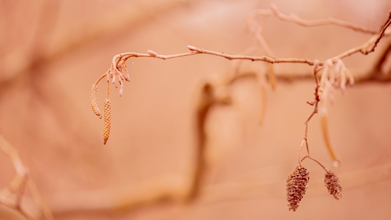 Understanding End Stage Renal Disease and Its Management