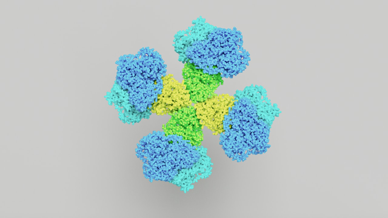 Understanding the Role of EBV Antibodies in Diagnosing Multiple Sclerosis